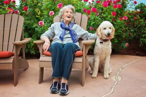 Standard Poodle Lifespan