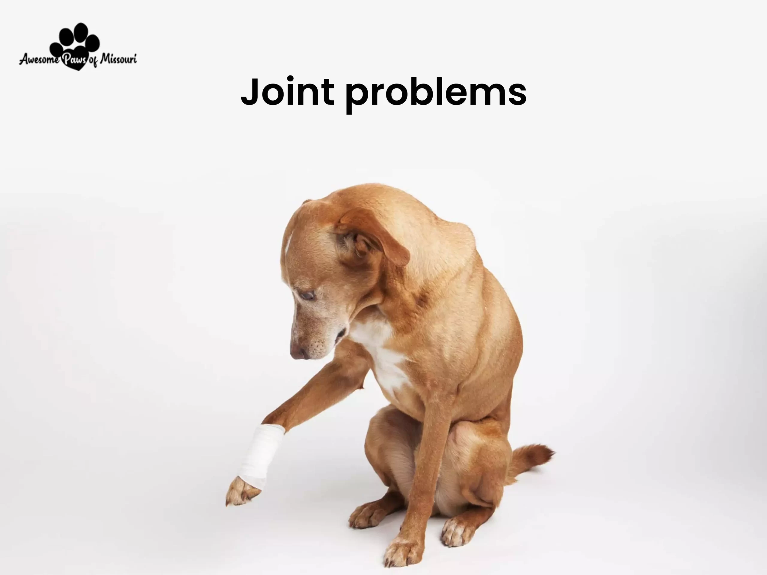 Joint problems - image
