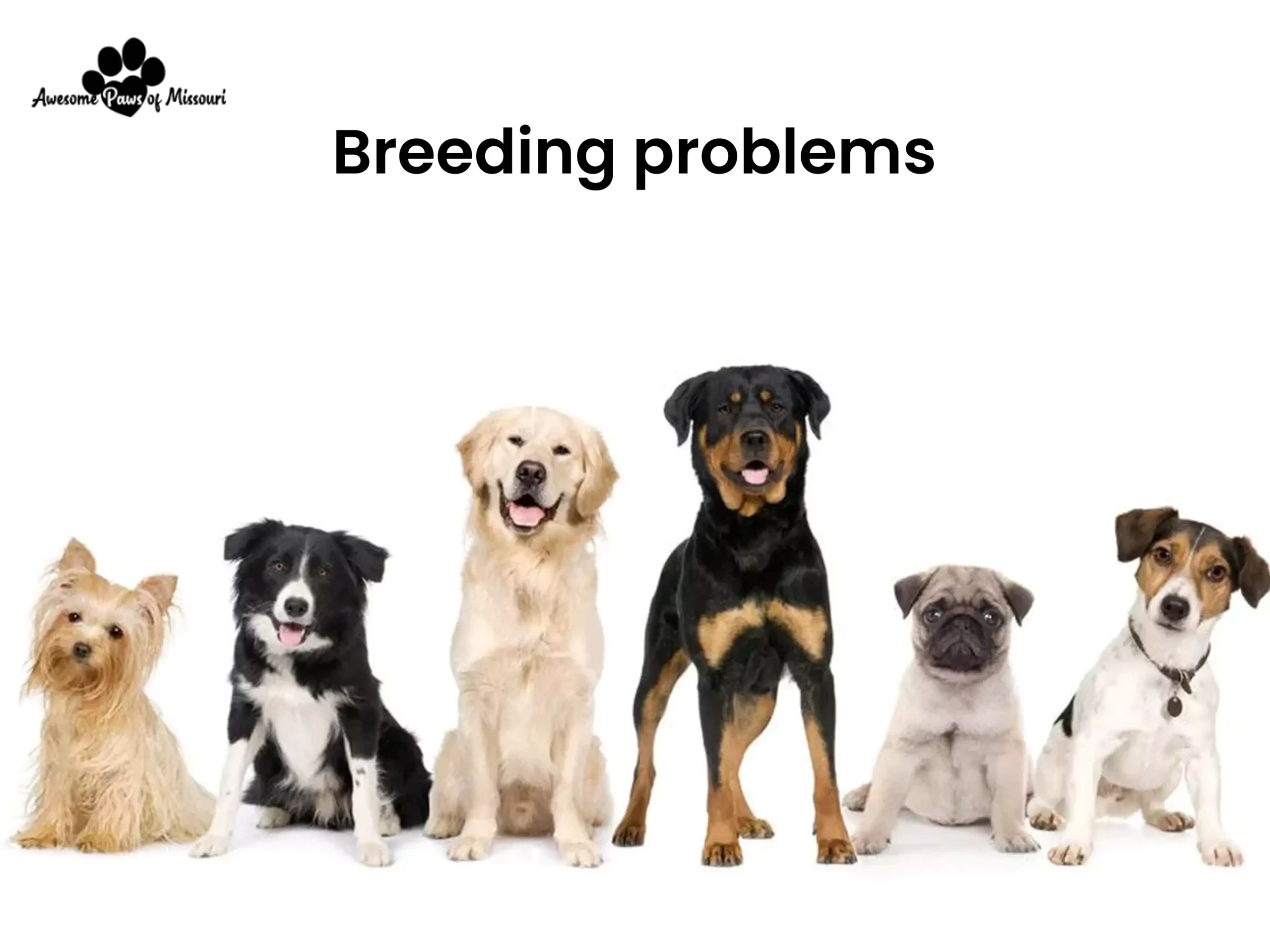 Breeding problems - image