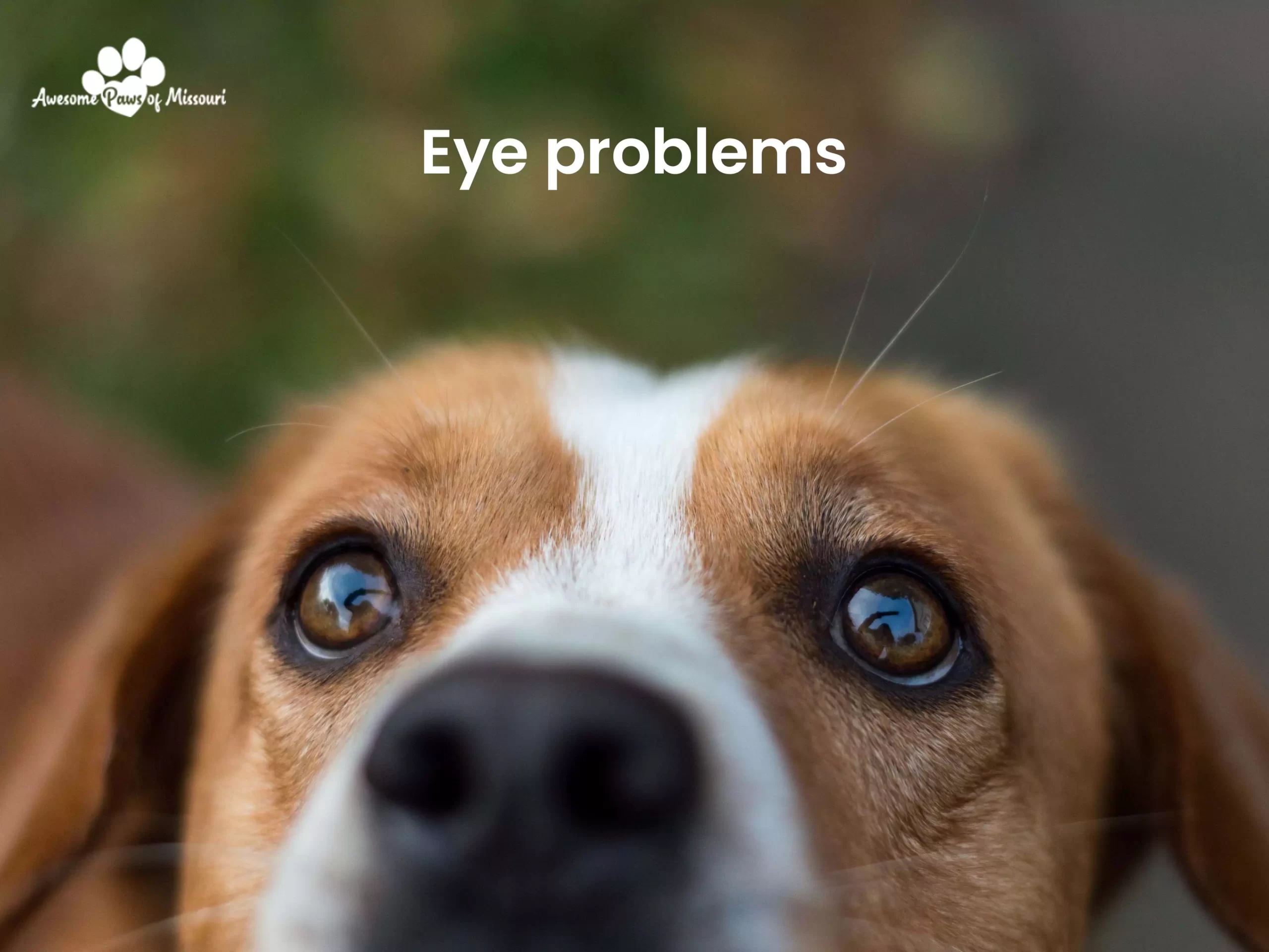 Eye problems - image
