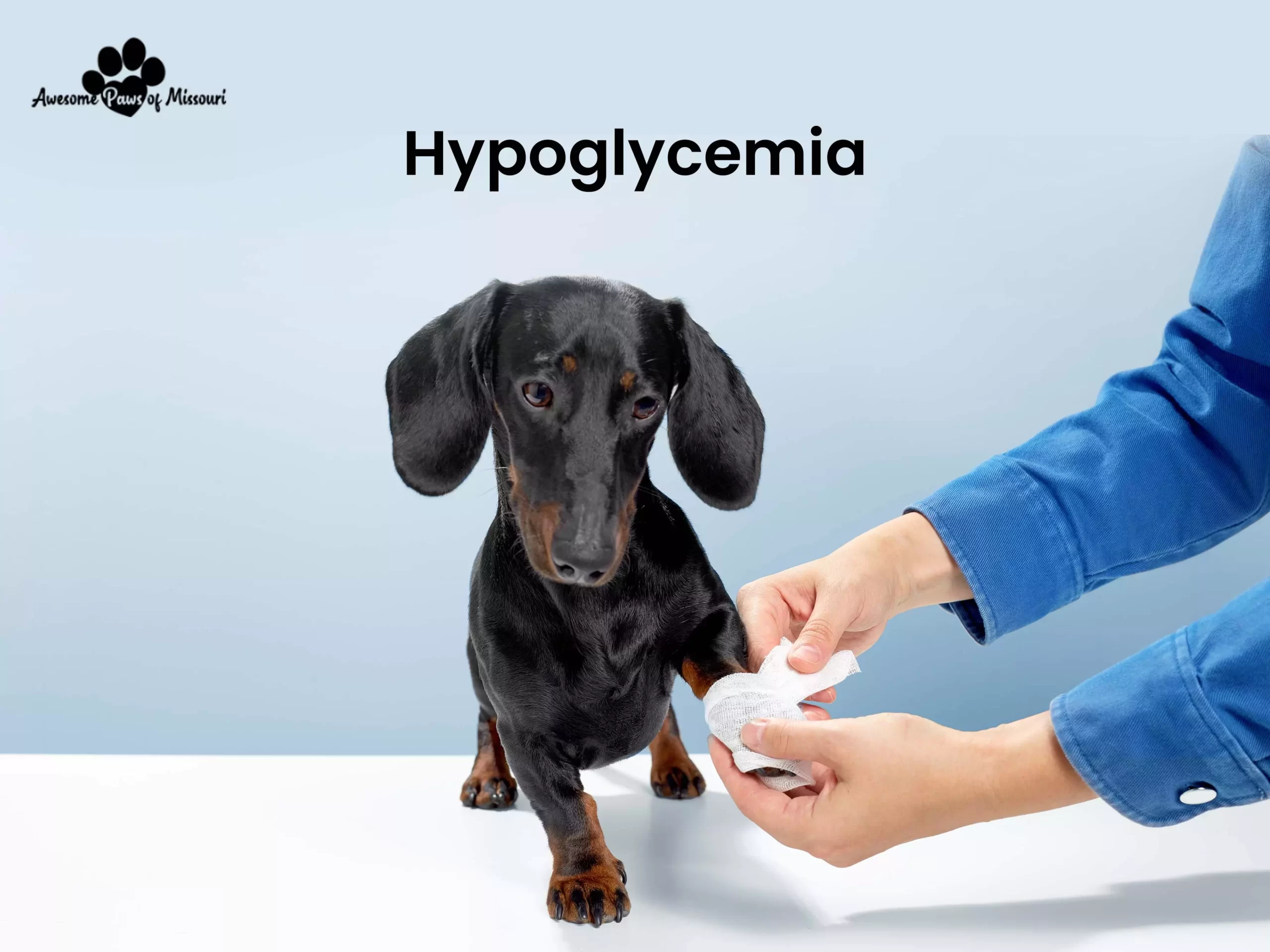 Hypoglycemia - image