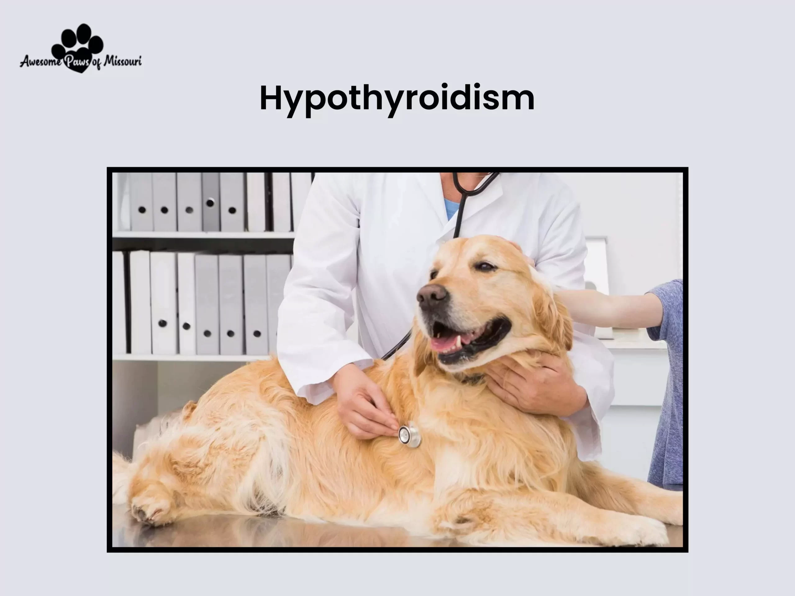 Hypothyroidism - image