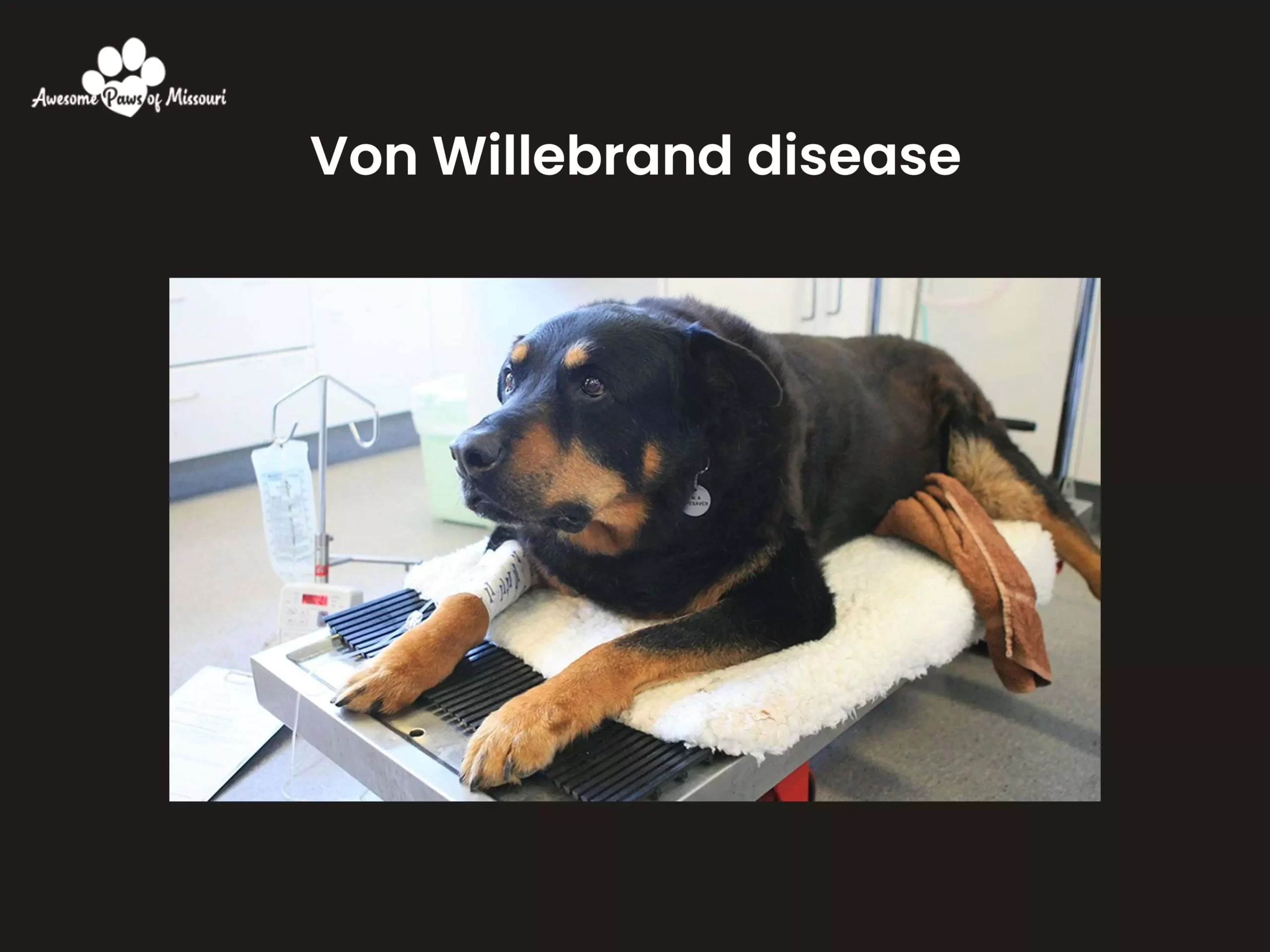 Von Willebrand disease - image