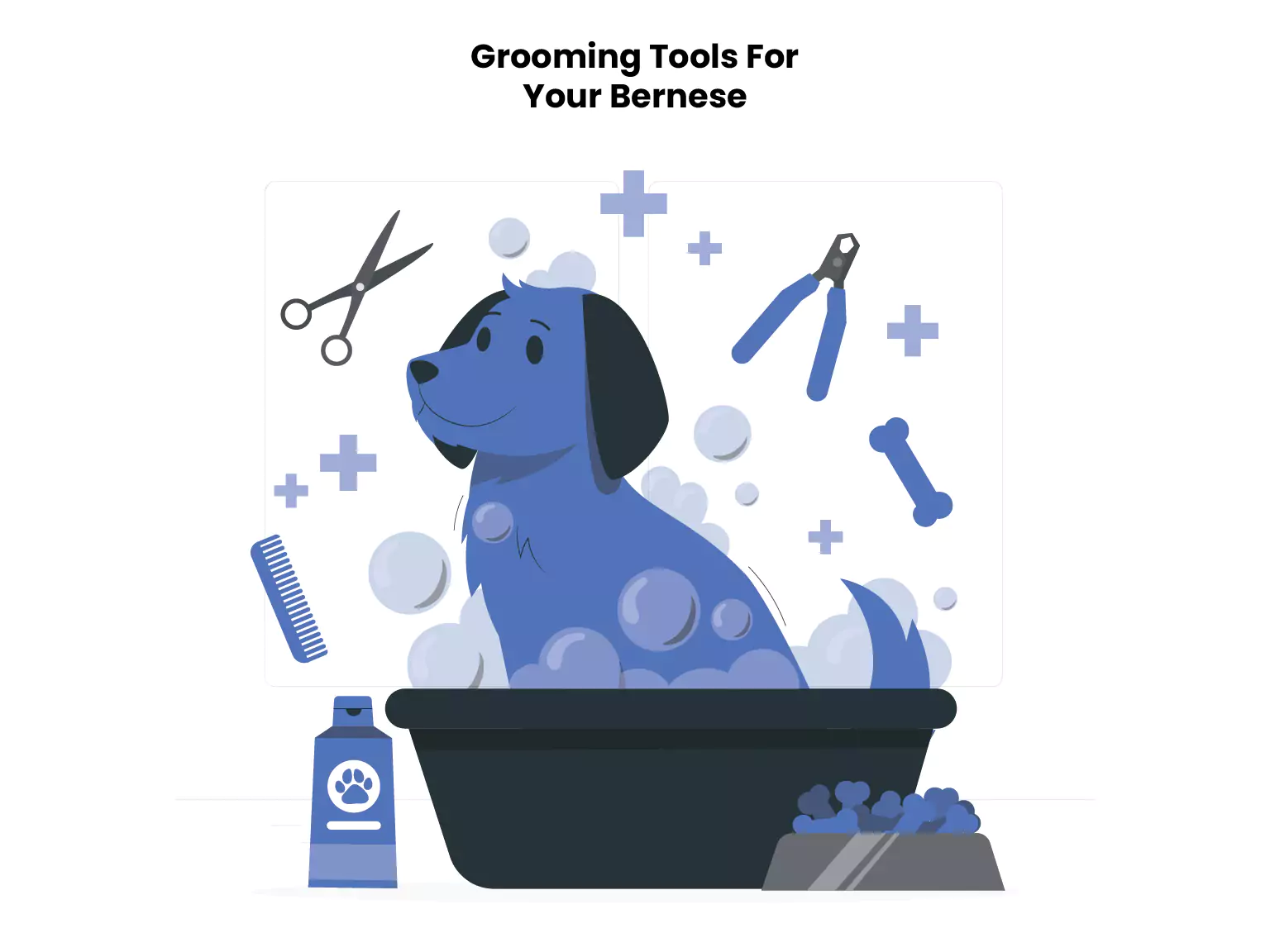 Grooming Tools For Your Bernese
