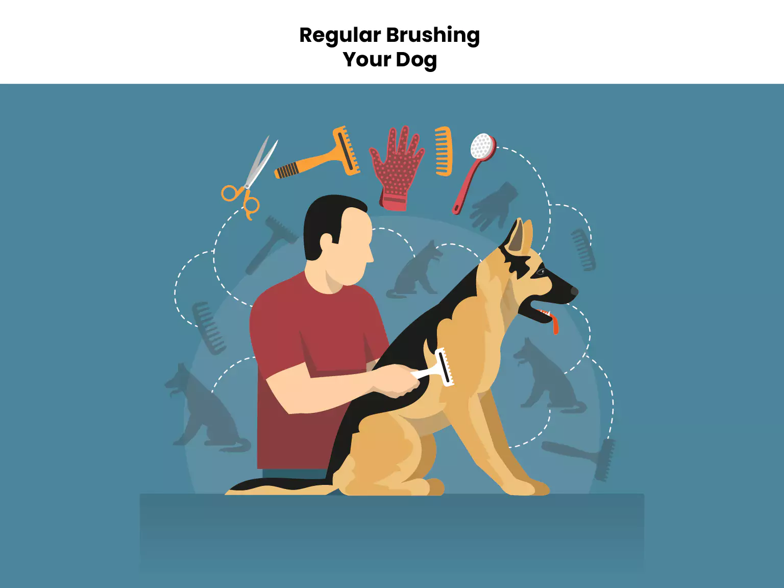 Regular Brushing Your Dog