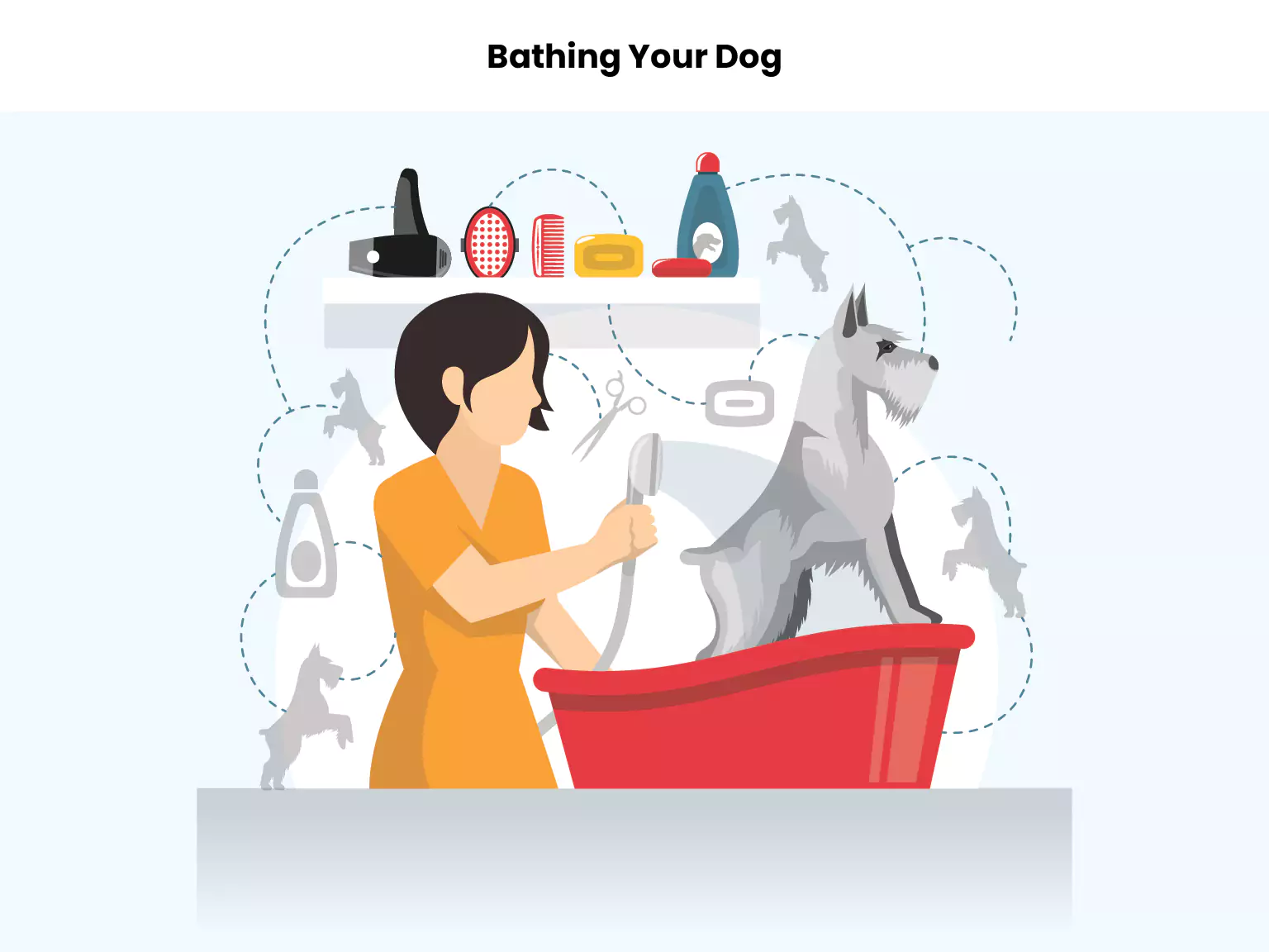 Bathing Your Dog