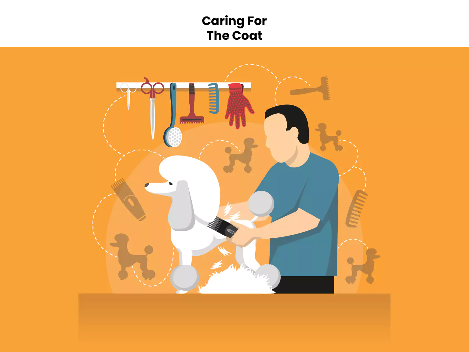 Caring For The Coat