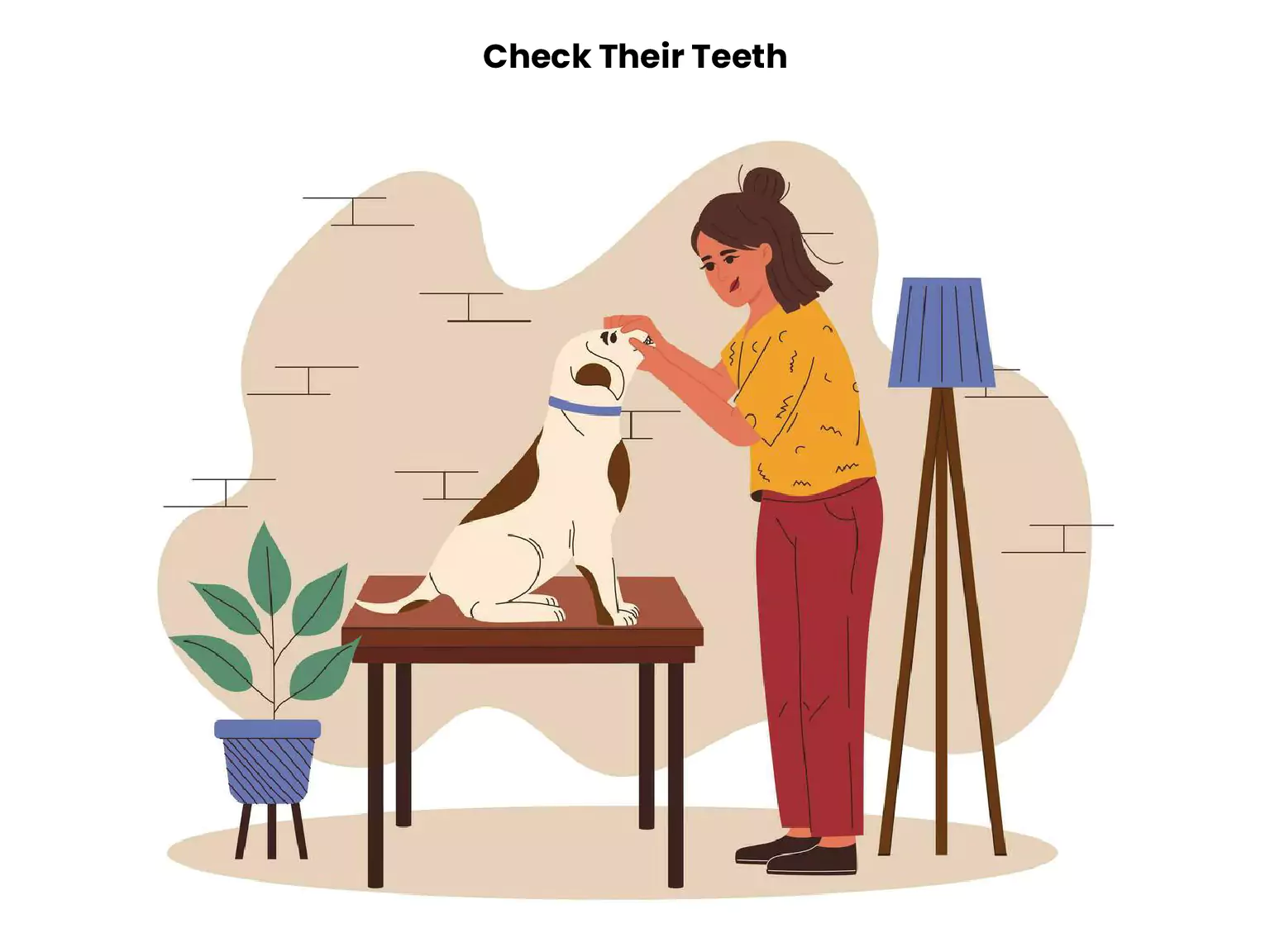 Check Their Teeth
