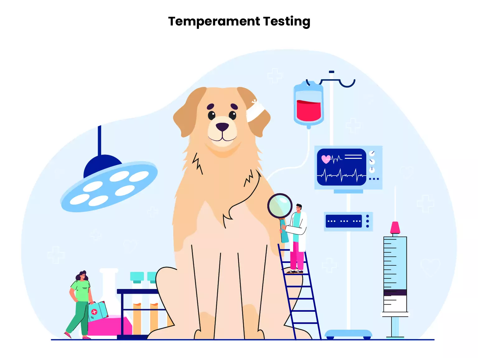 Temperament Testing 