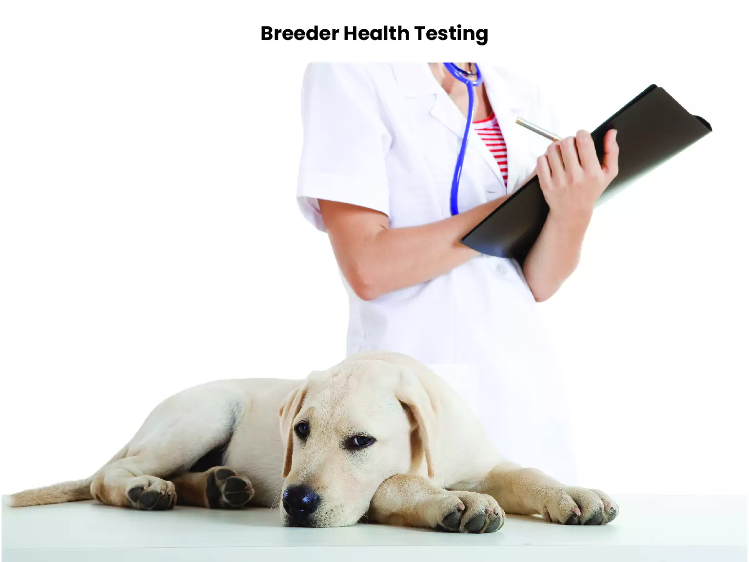 Breeder Health Testing 