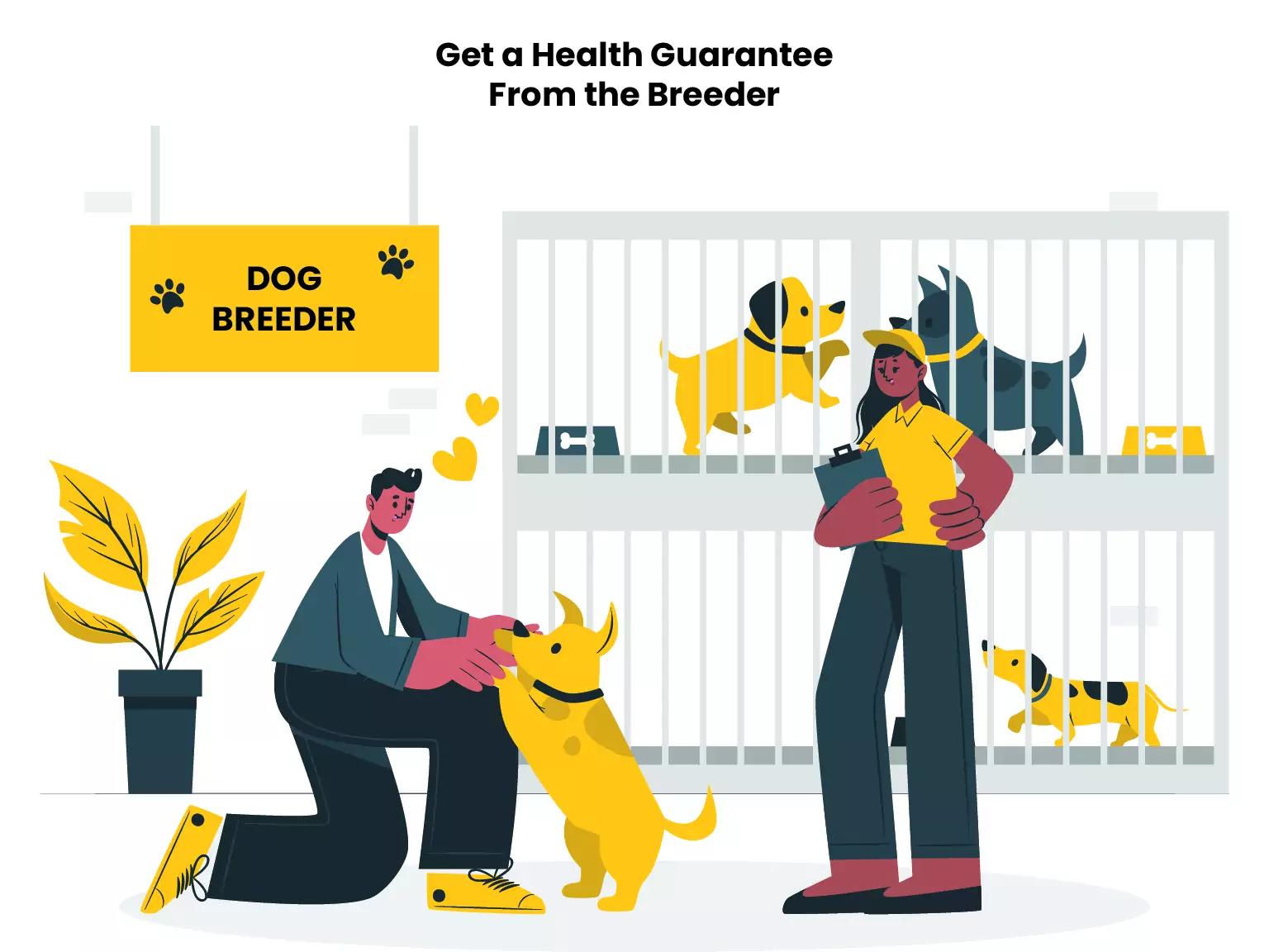 Get a Health Guarantee From the Breeder 