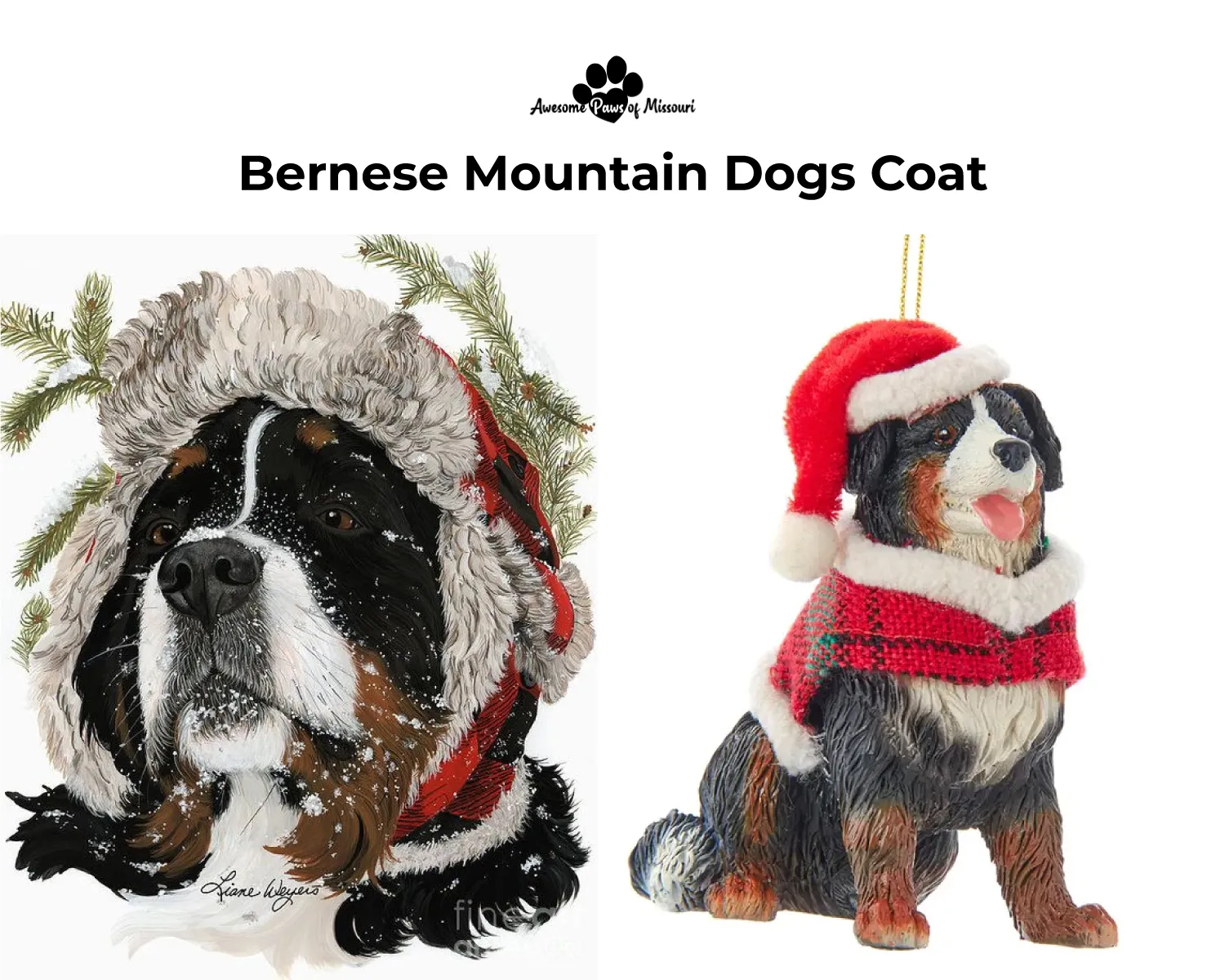 Bernese Mountain Dogs Coat