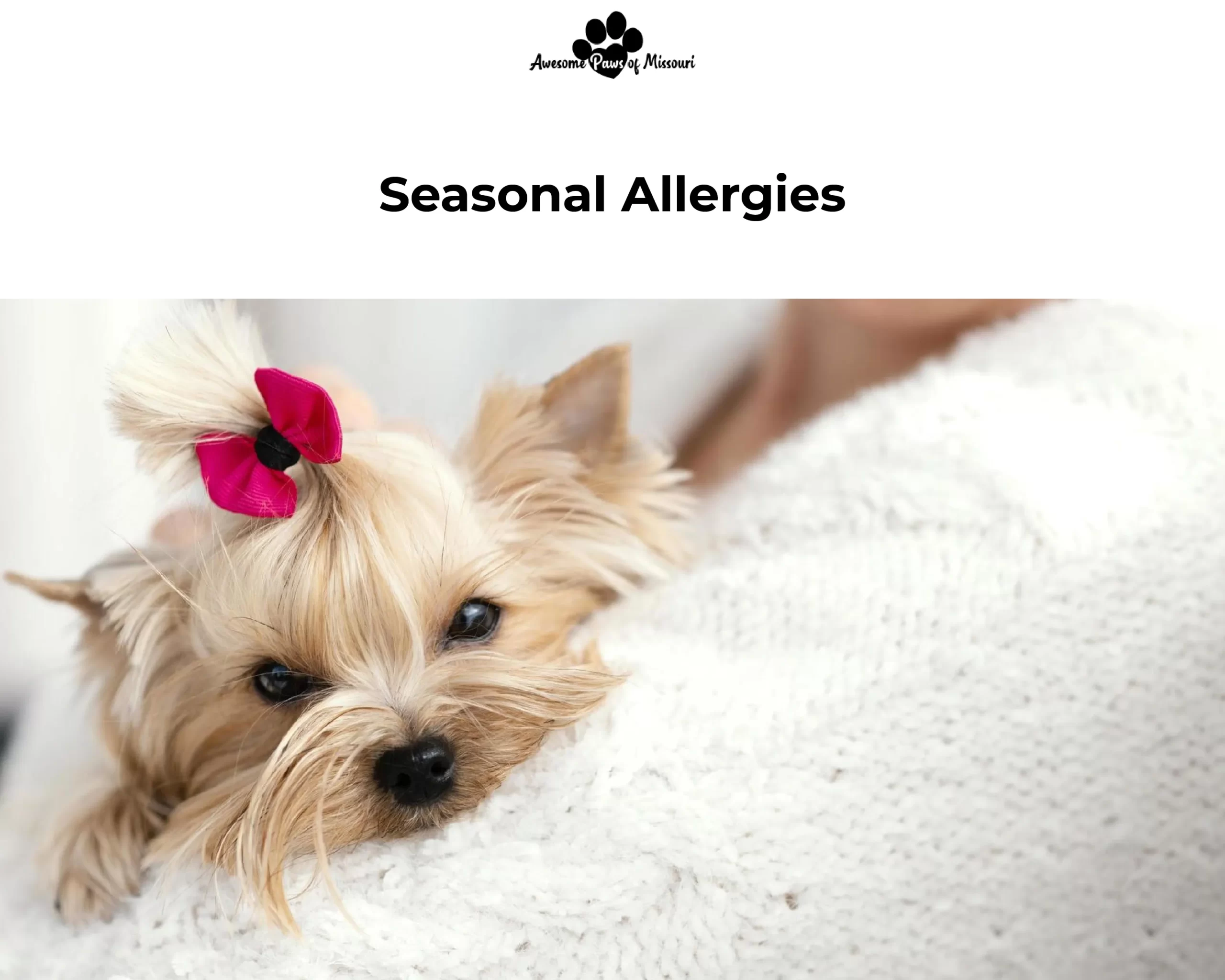 Seasonal Allergies
