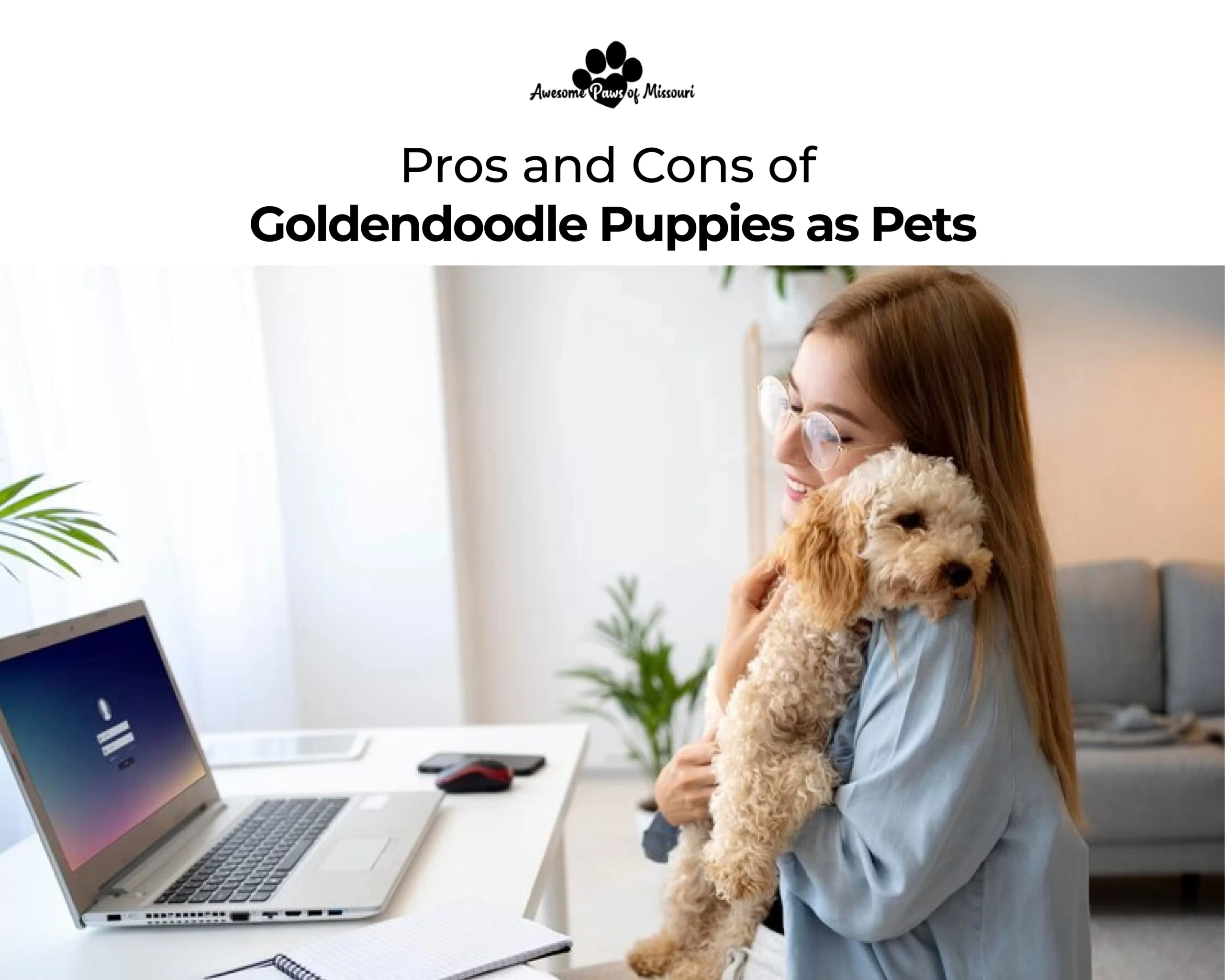 Pros and Cons of Miniature Poodles as Pets
