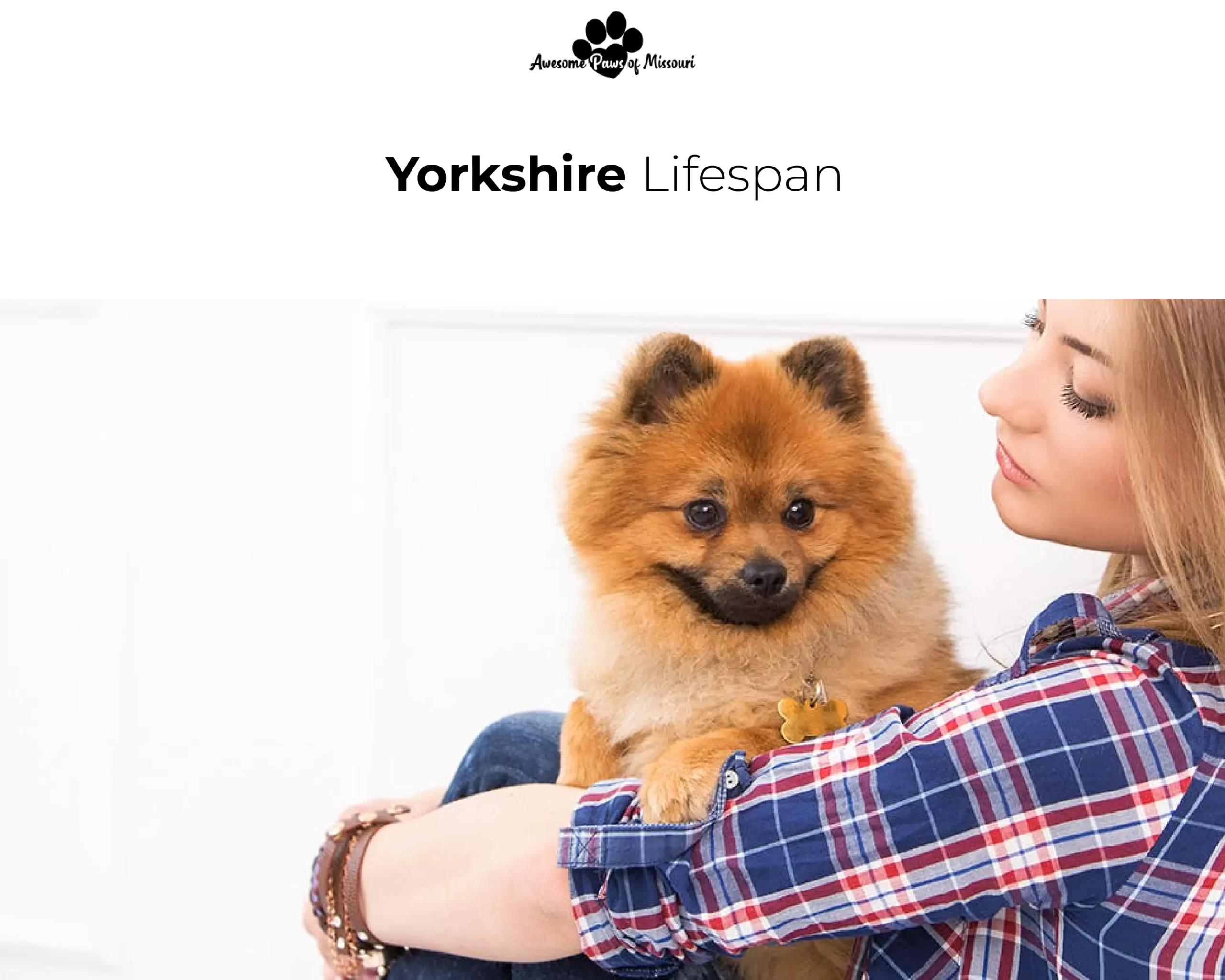 Yorkshire Lifespan