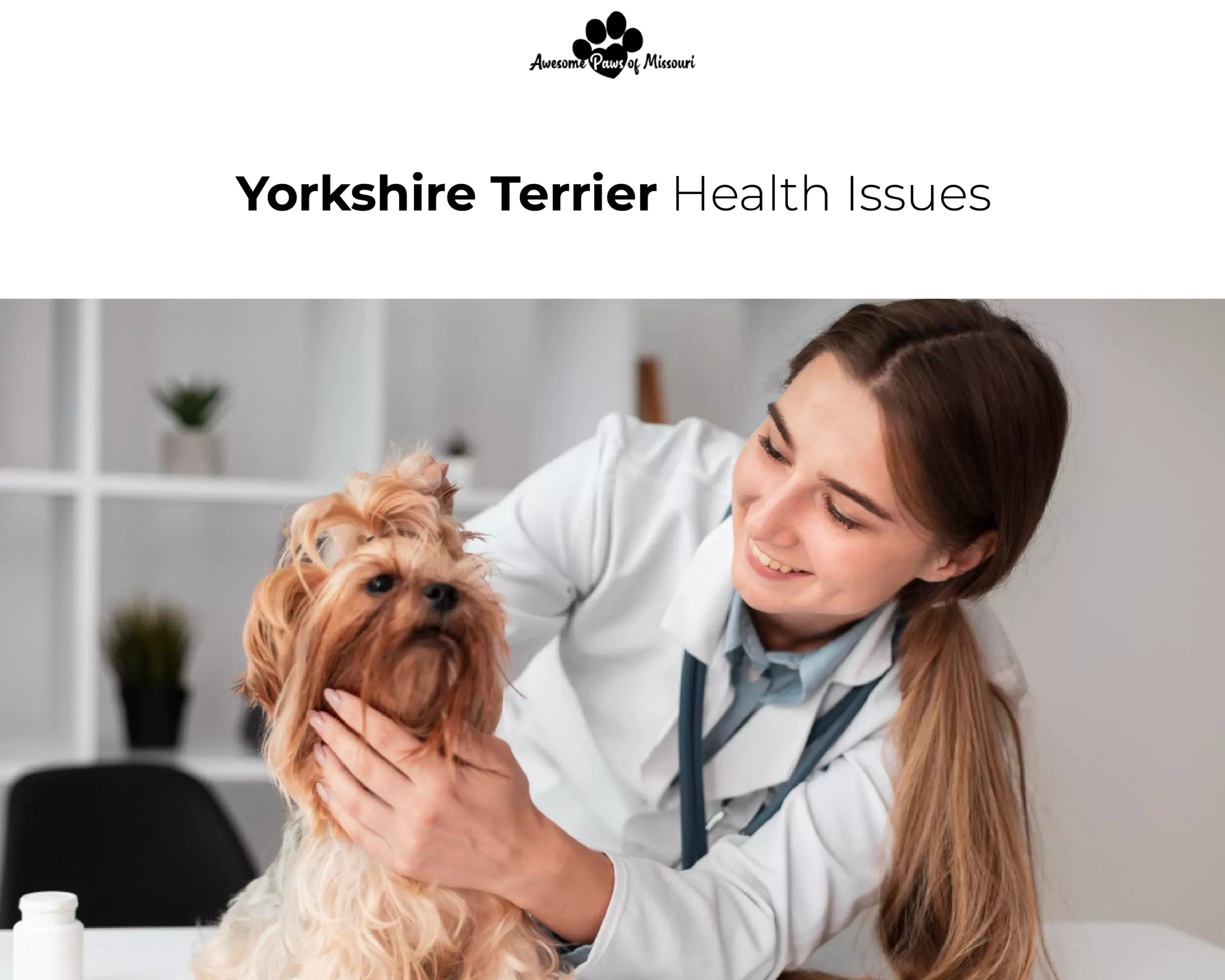 Yorkshire Terrier Health Issues
