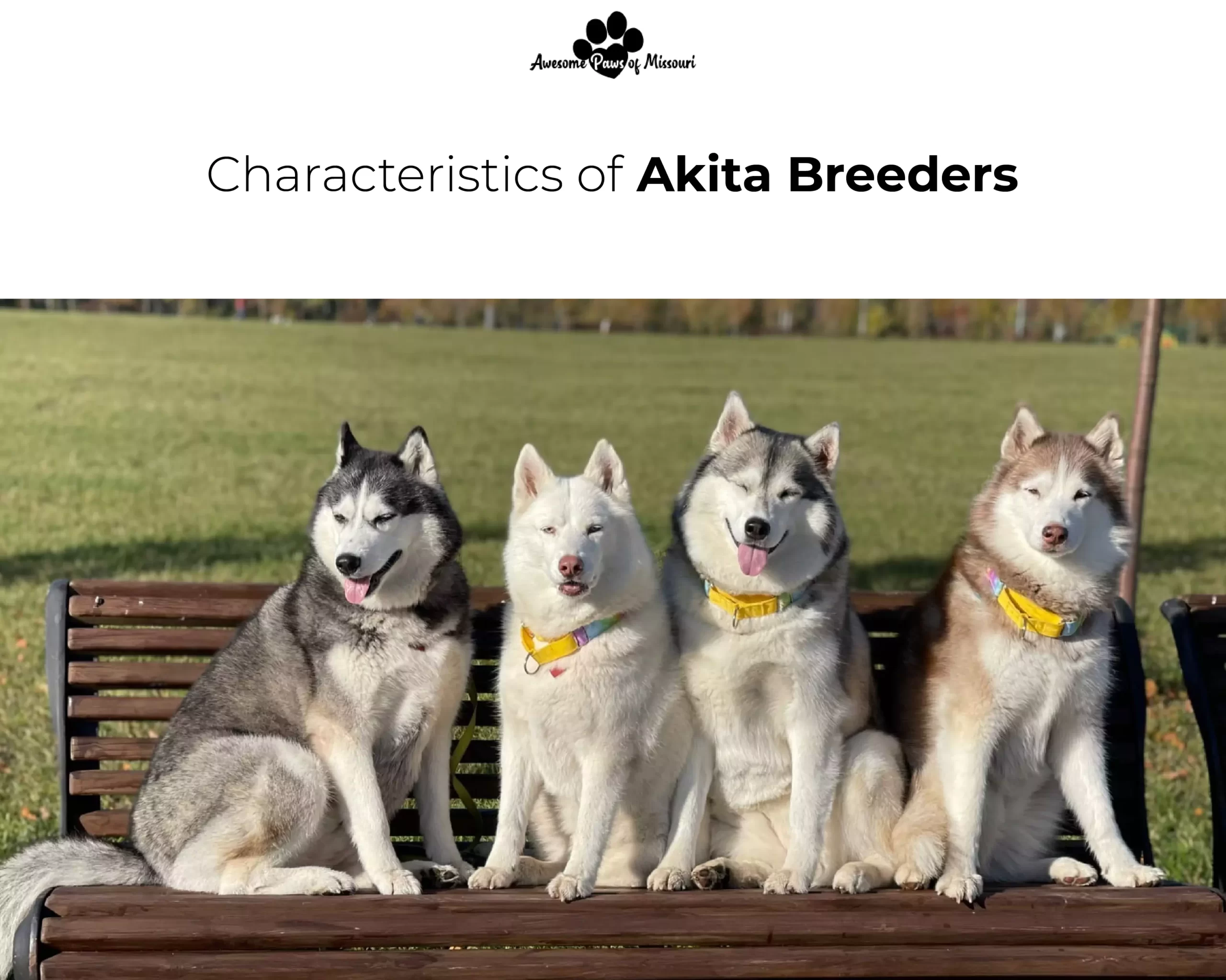 Characteristics of Akita Breeders