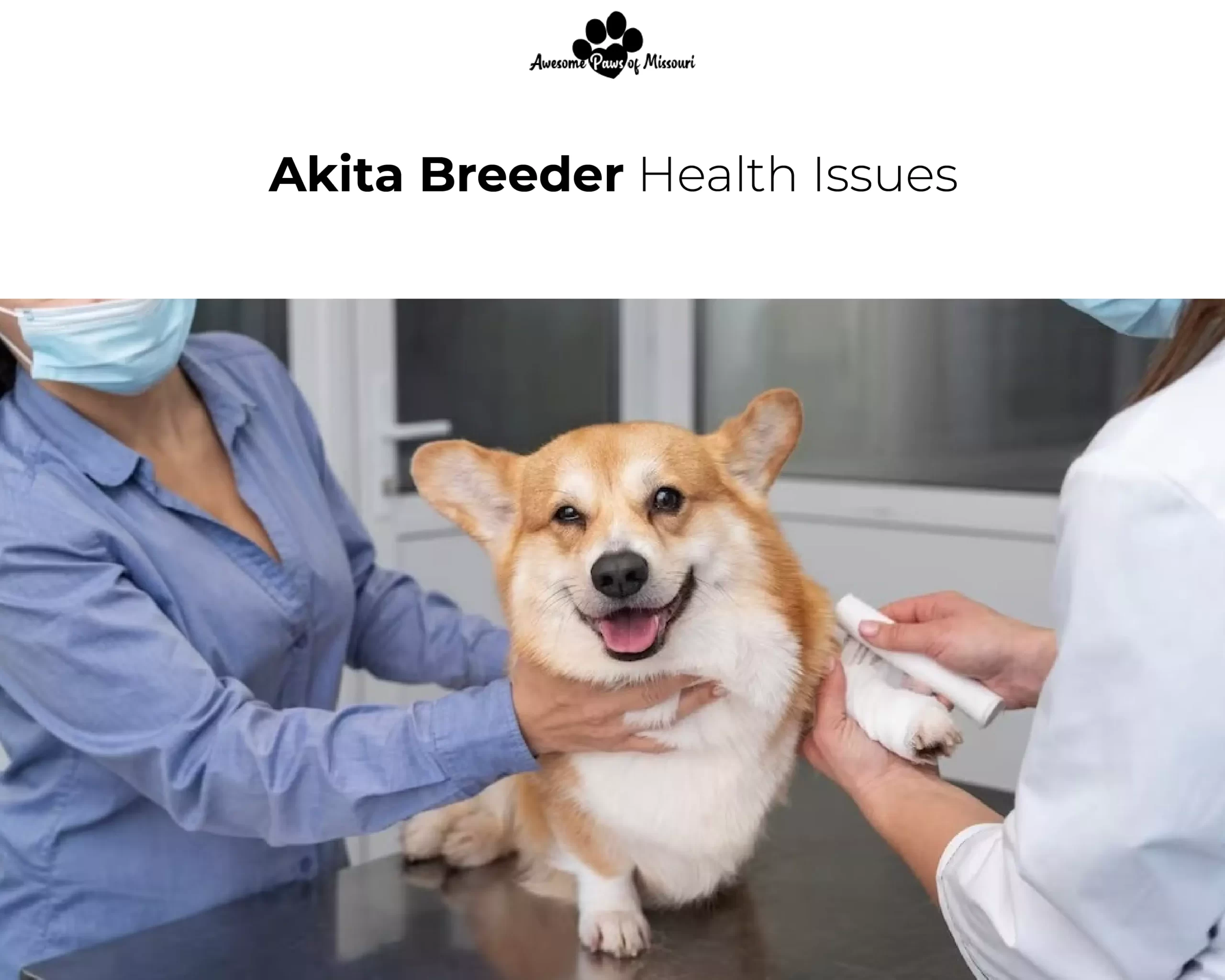 Akita Breeder Health Issues