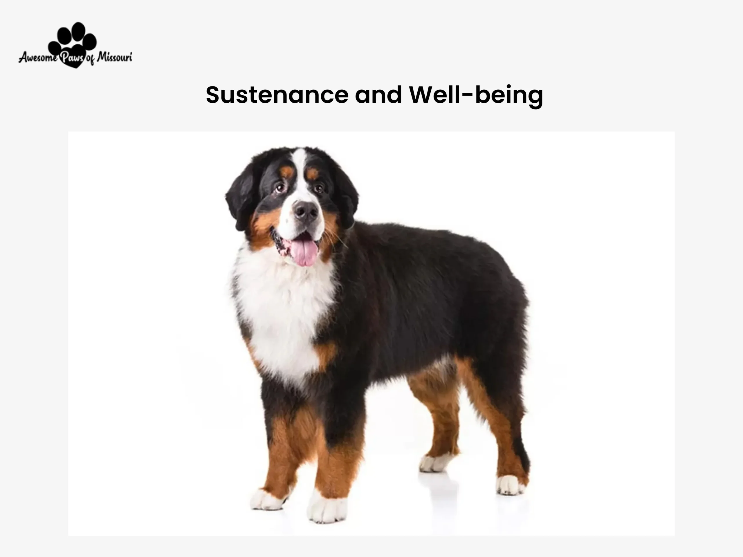 Sustenance and Well-being