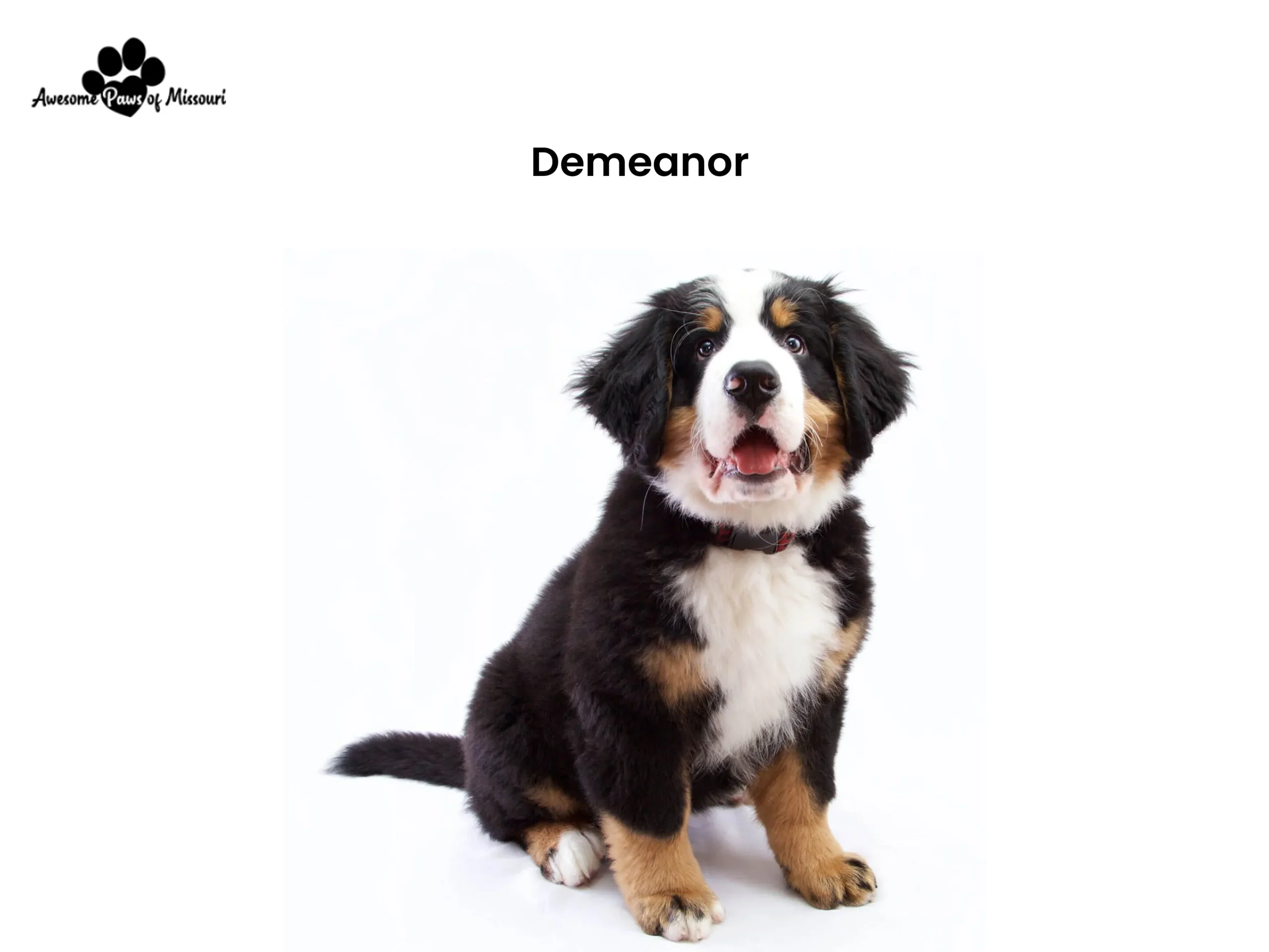 Demeanor