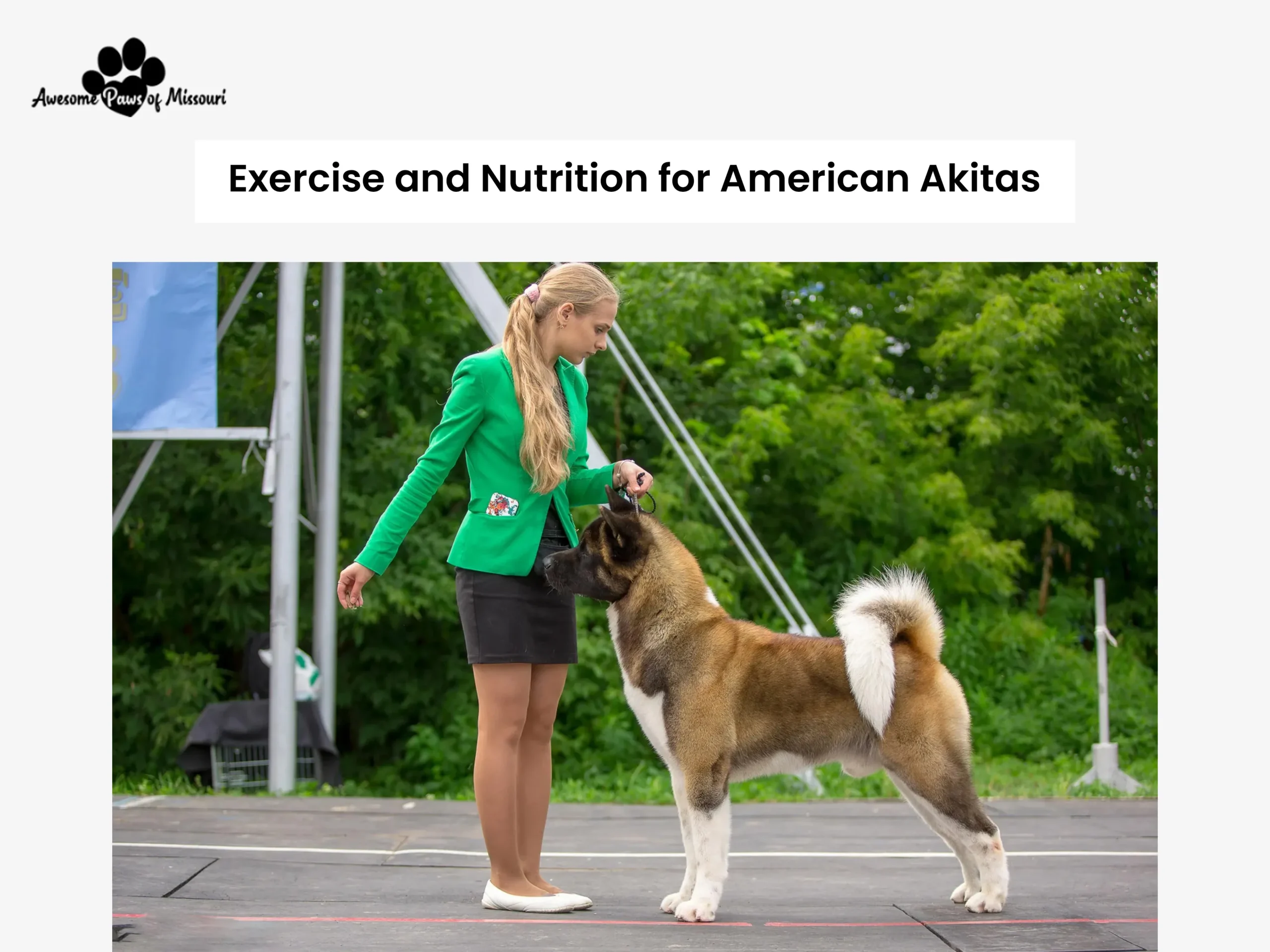 Exercise and Nutrition for American Akitas