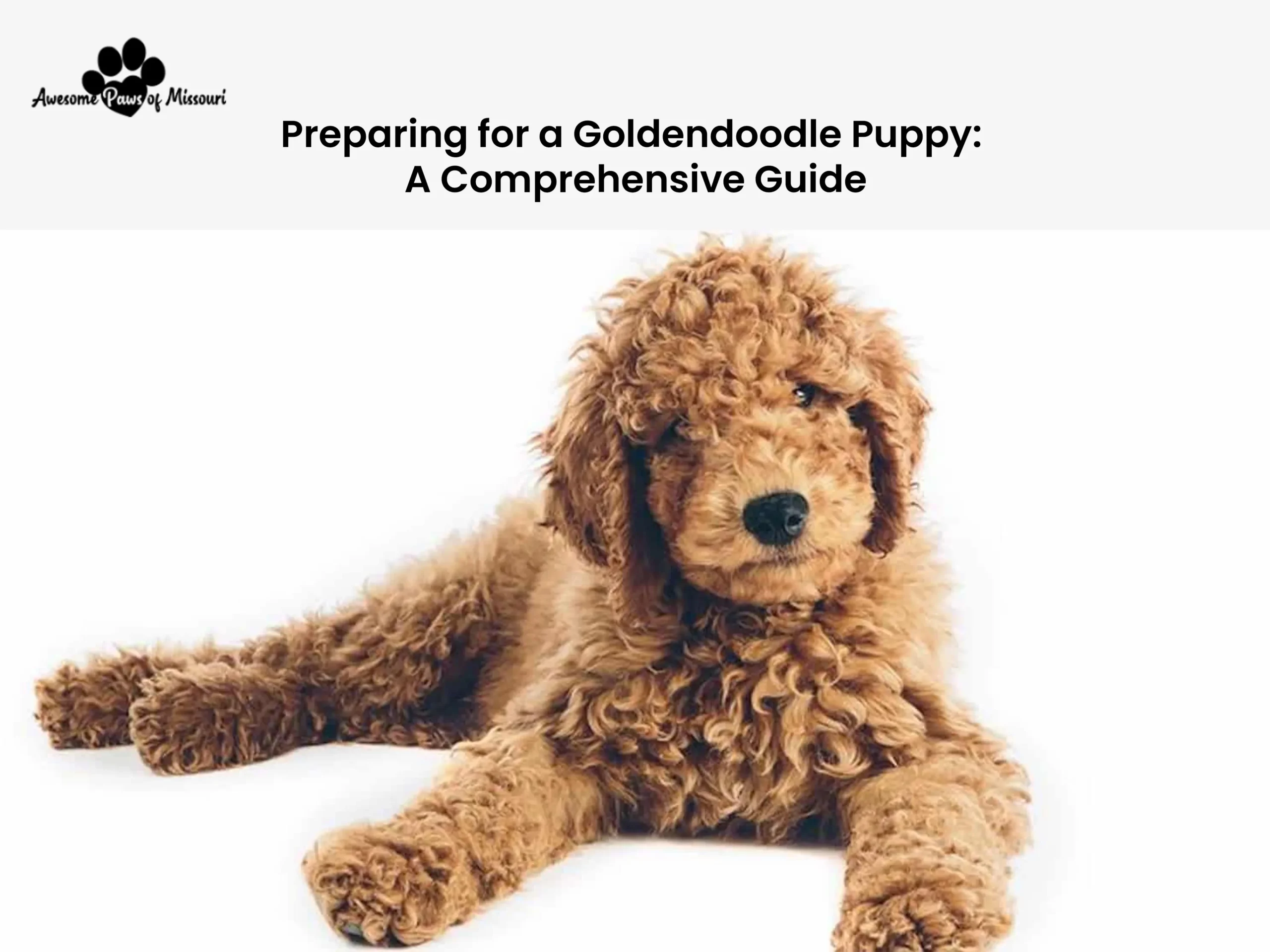 Preparing for a Goldendoodle Puppy: A Comprehensive Guide