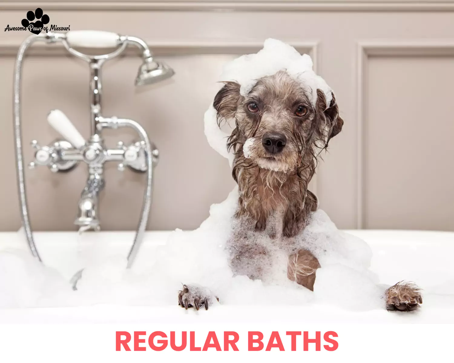 Regular Baths