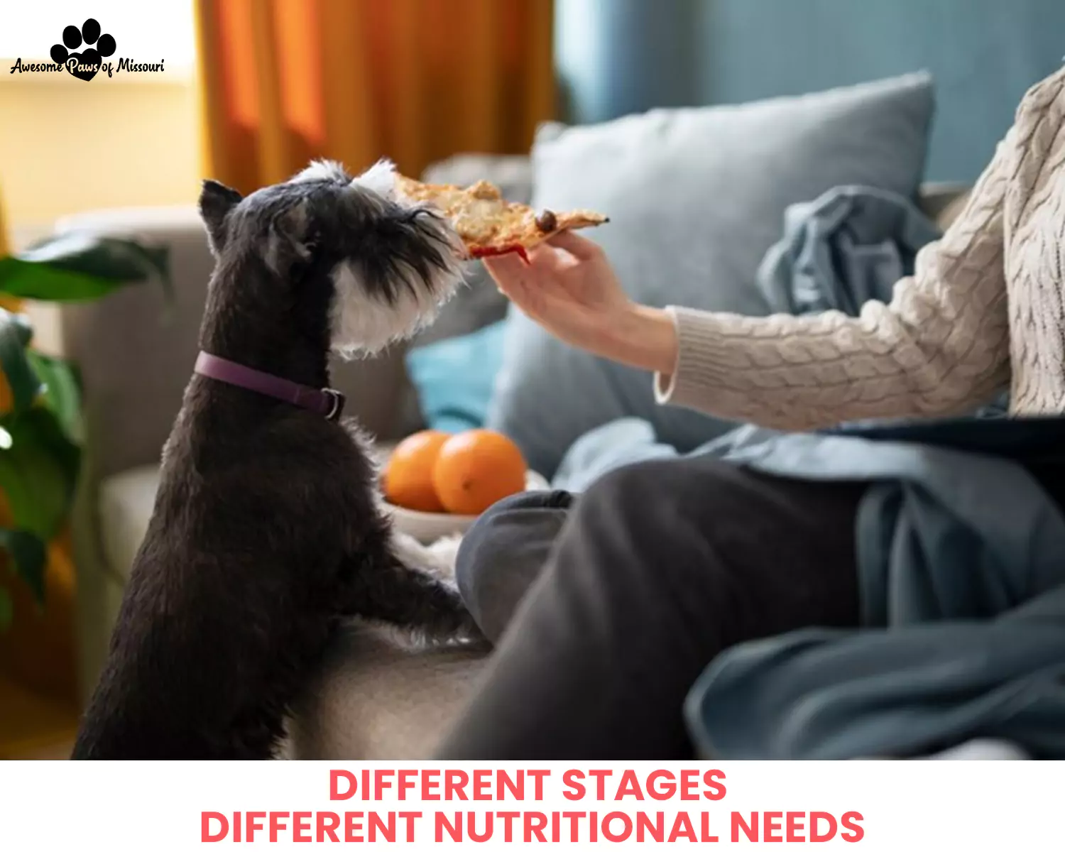 Different Stages: Different Nutritional Needs