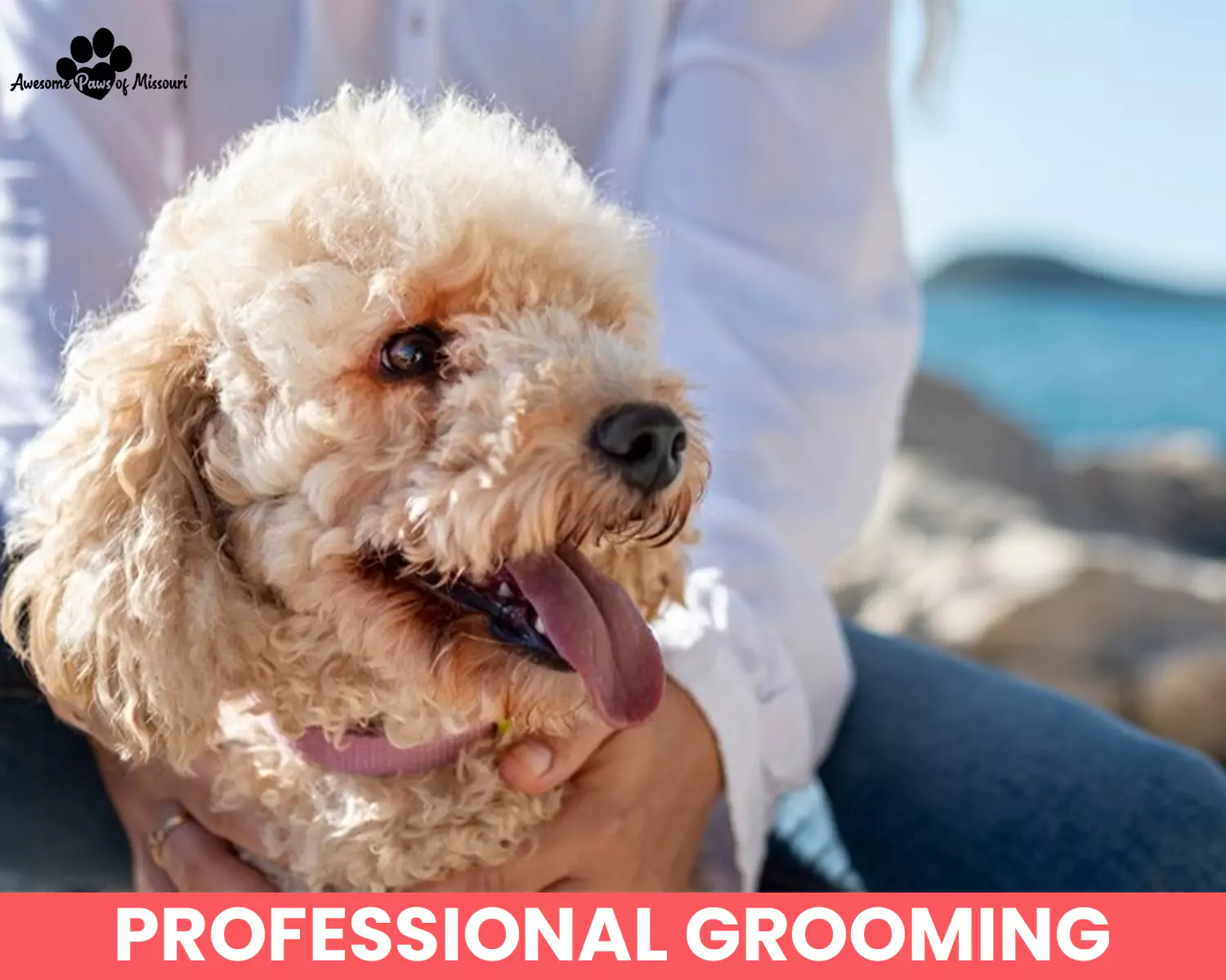 Professional Grooming