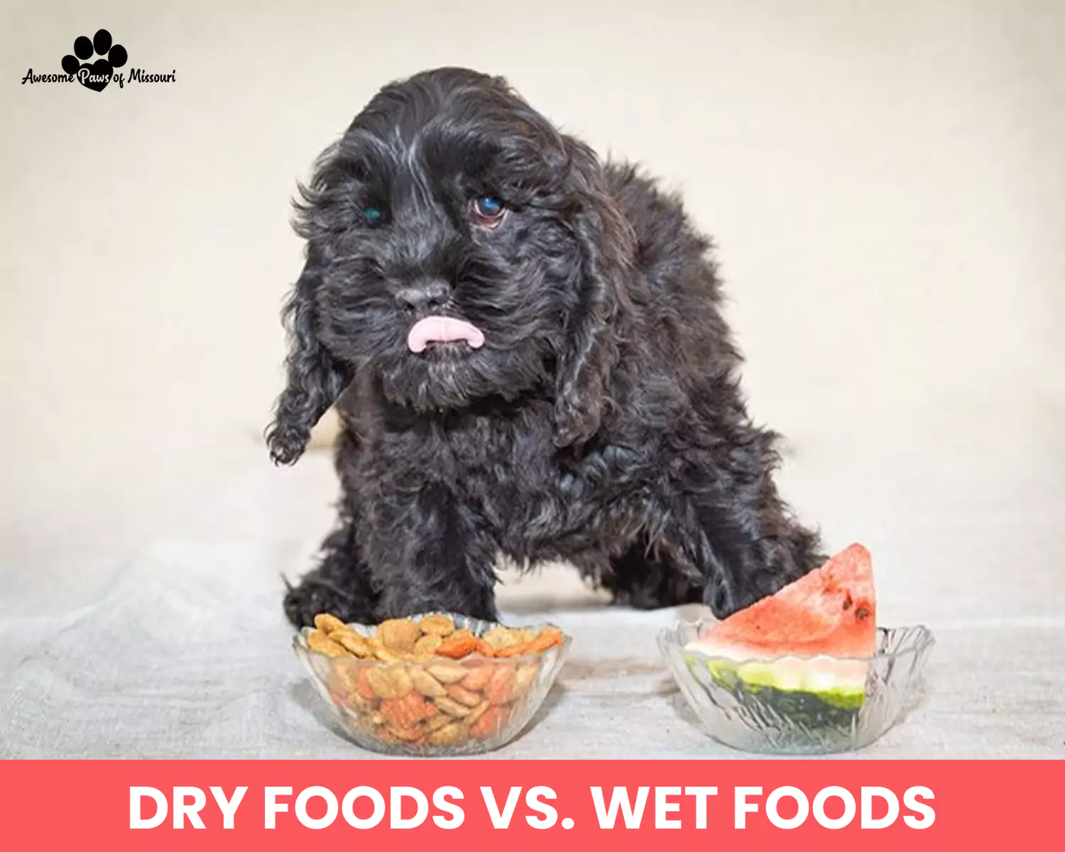 Dry Foods vs. Wet Foods
