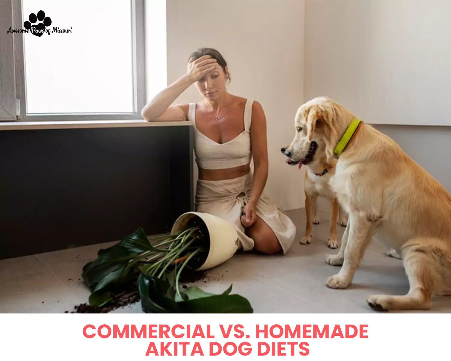 Commercial vs. Homemade Akita Dog Diets