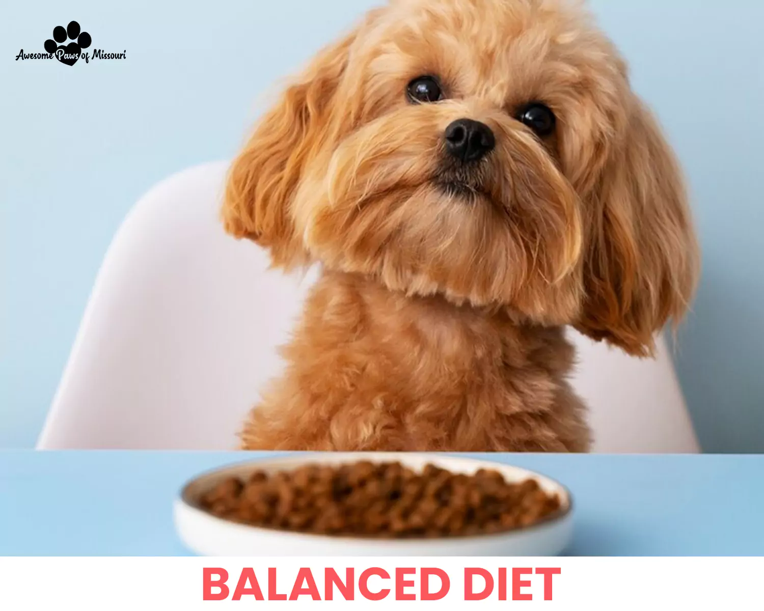 Balanced Diet