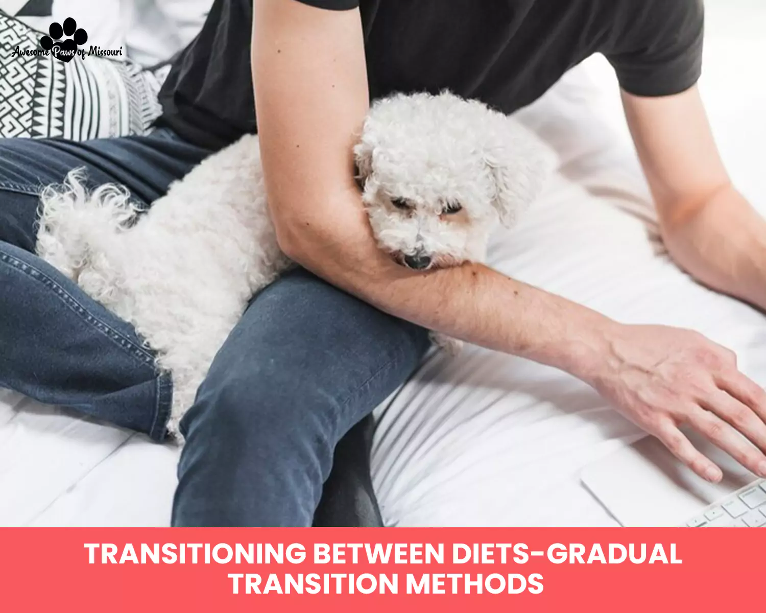 Transitioning Between Diets- Gradual Transition Methods