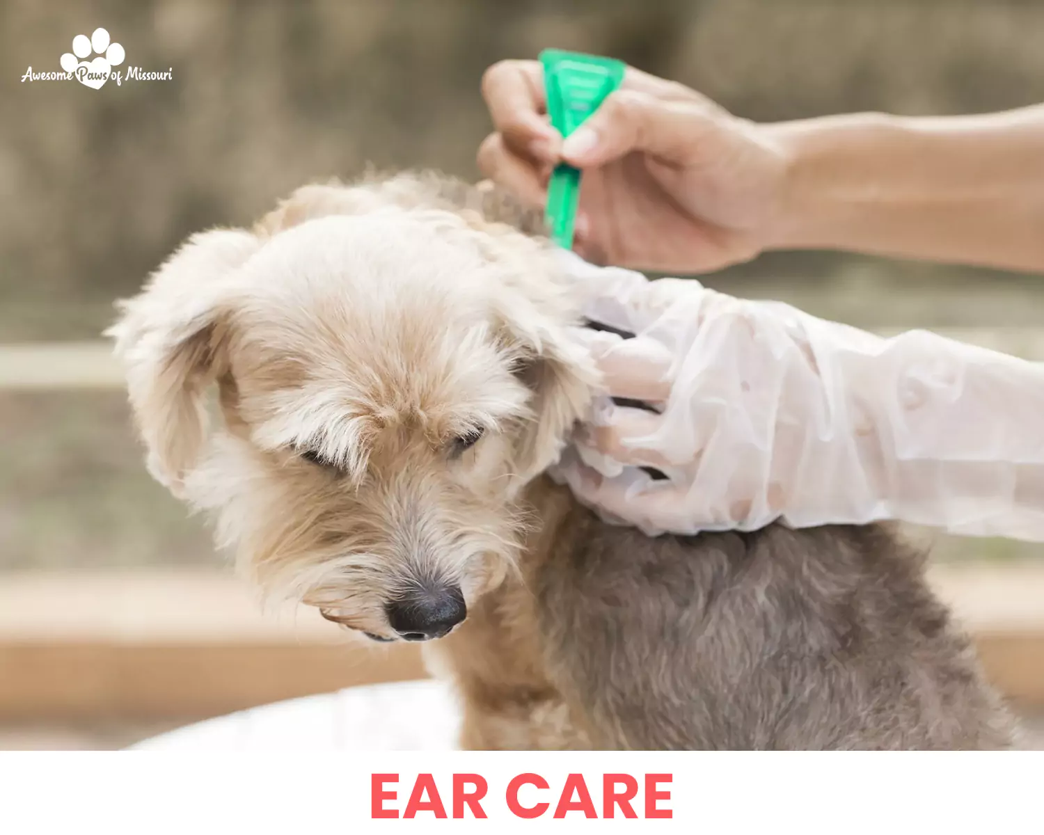 Ear Care