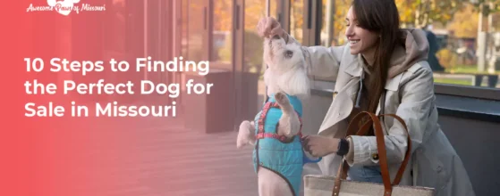 10 Steps to Finding the Perfect Dog for Sale in Missouri
